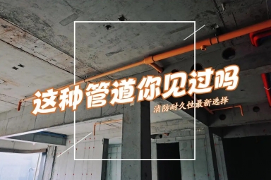 ?東莞市力行科技PVC-C消防管應用研究與試用活動成果顯著